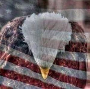 Meet your Posher, Connie